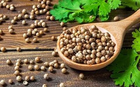 تصویر 4 از خرید ترنجبین عمده ایرانی + قیمت فروش استثایی